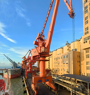 广州南沙码头打造高效粮运枢纽 科技创新破解"北粮南运"难题