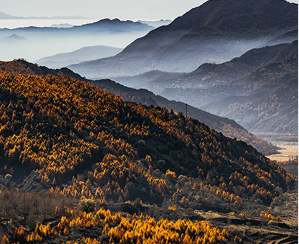 五台山秋色浸染千年古刹 雨后景致如诗如画