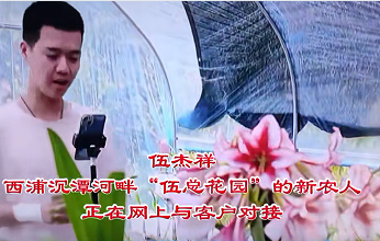 福建寿宁“新农人”返乡创业 激活乡村振兴新动能