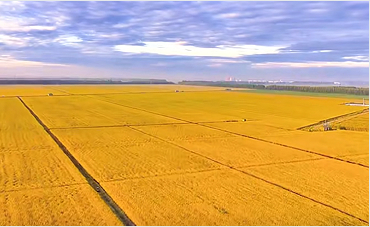 黑龙江富锦推广智能农业技术 助力粮食减损增效