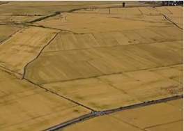 吉林水肥一体化技术显成效 盐碱地玉米增产超三成