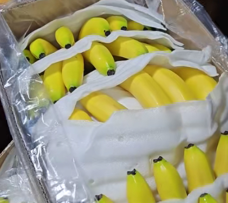 广西本土品牌香蕉首次成功出口国际市场