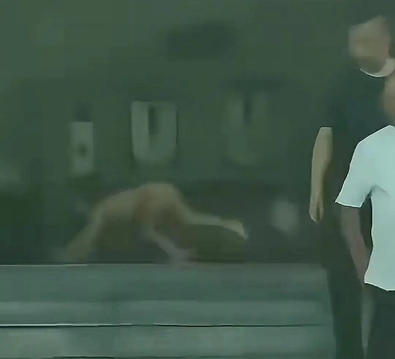 “野人孩子”最新进展，当地警方：孩子和父母已在管控范围内