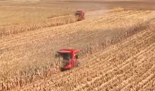 内蒙古乡村产业振兴见闻：多元发展促村民增收