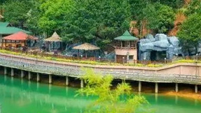 浙江义乌李祖村：农创客集聚引领乡村振兴新路径