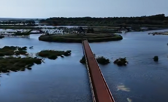 吉林两大湿地迎候鸟迁徙高峰 逾25万只水鸟齐聚