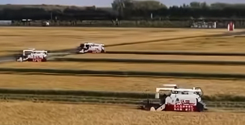 金融多措并举护航秋收 资金保障精准直达田间