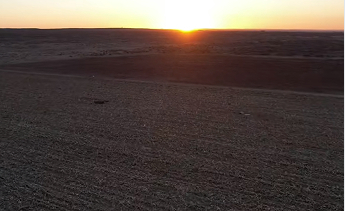 宁夏耕地面积稳步增长 生态保护成效显著
