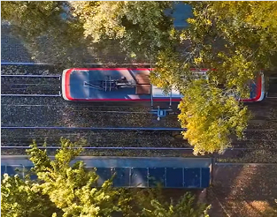 长春打造落叶景观路 都市秋色引客来