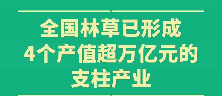 全国林草已形成4个产值超万亿元的支柱产业