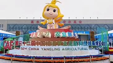 安康富硒农产品亮相农高会受关注