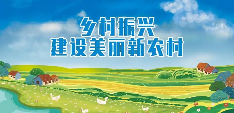 2025 “我家门口那条路” 解锁乡村振兴新图景