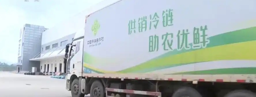 宁夏 “双十一” 特产寄递热潮来袭 冷链物流保障鲜度直达