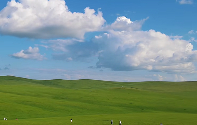 中国绿色贸易三方面发力 助力全球填补"绿色缺口"