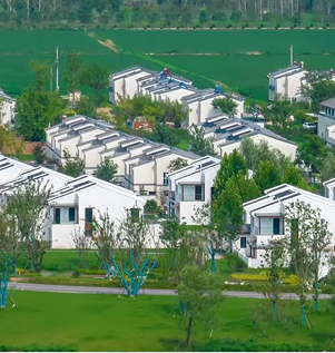 江苏宿迁乡村振兴见实效 生态产业联动富民兴村