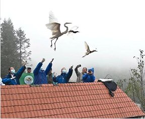 湘赣两省开展联合护鸟行动 共守千年鸟道迁徙安全