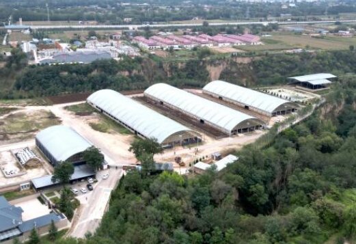 西峰区合作社引领产业升级 农户抱团发展促增收