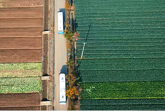 科技赋能嘉鱼蔬菜产业 博士团队助力提质增效