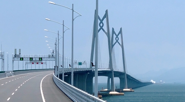 “三向奔赴”：粤港澳“三联通”为全运会夯基垒台