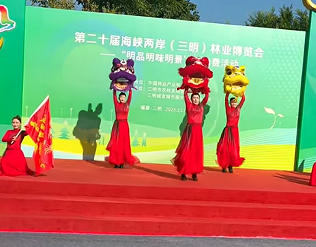闽台林业产业升级对接会在三明举行 推动两岸融合发展