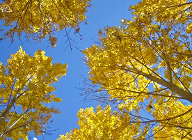 “藏源山南”走进安徽 文旅交流促皖藏情谊