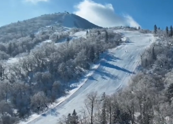 哈尔滨冰雪季推出百场促销 四大板块激活冬季消费