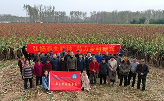 科技赋能农业创新 宿迁高粱产业铺就乡村致富路