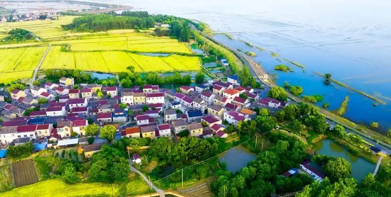 从“看风景”到“深体验”，南京溧水激活乡村旅游新动能