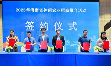 海南休闲农业迎发展新机遇 企业积极布局特色农庄