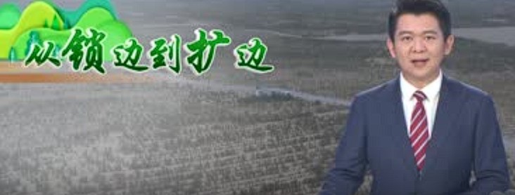 沙漠锁边 从治沙到致富
