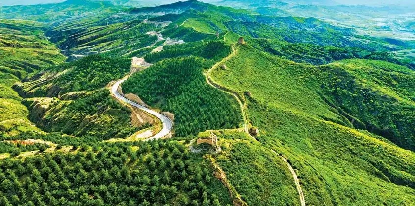 黄河故道上的绿色答卷