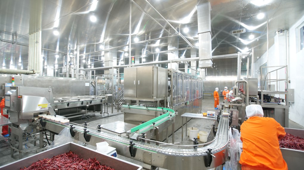 小辣椒串起乡村振兴“增收链”