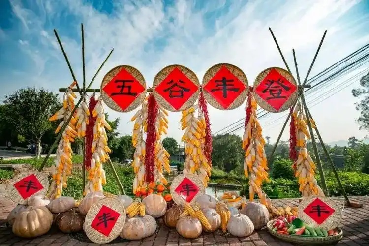 襄阳 "农民丰收节" 趣味运动会欢乐开启