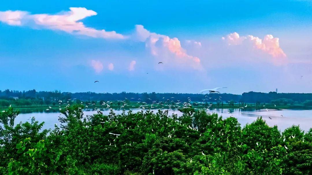 江苏沛县：推动农文旅融合赋能乡村振兴(图1)