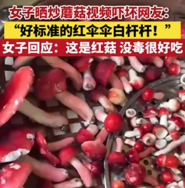 红伞伞白杆杆，可它吃完不会躺板板(图1)