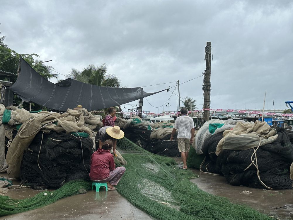 让这座城市尽快恢复如初”——海口市台风后救灾见闻(图1)