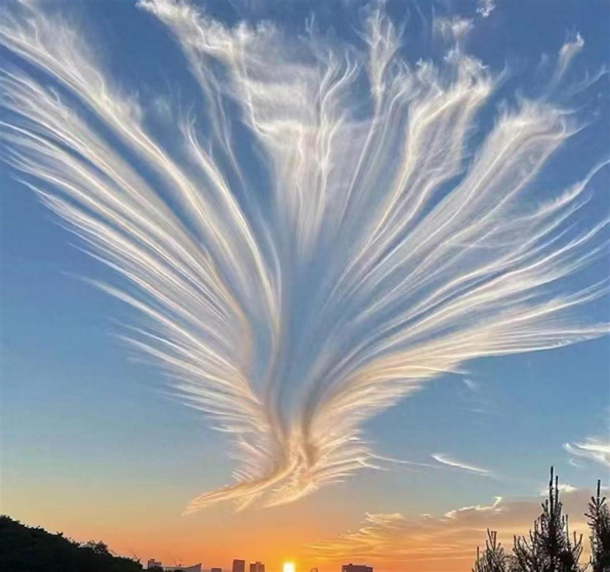 黄石天空现‘金色凤凰’，市民晨跑意外捕获奇景！(图1)