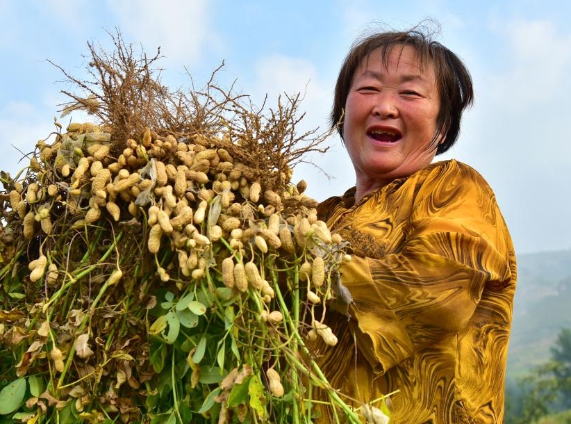 秋日“丰”景(图2)