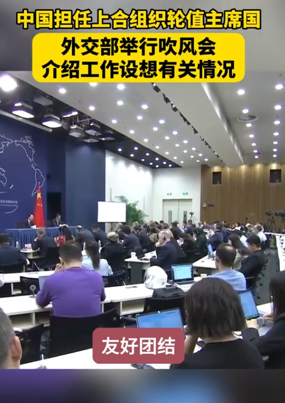 蔡伟稳阵脚，白天闯经济：中国外交新力量登场(图2)