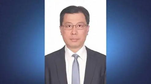 蔡伟稳阵脚，白天闯经济：中国外交新力量登场(图1)