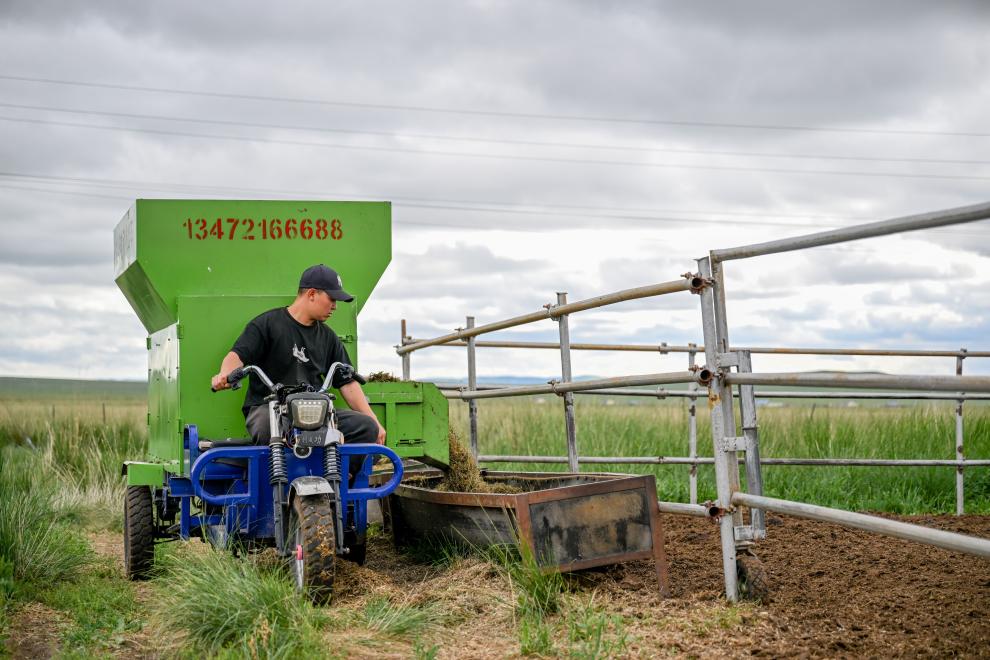 内蒙古西乌珠穆沁旗：返乡大学生为牧区发展注入新活力(图1)