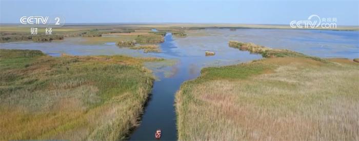 水美蟹水美蟹肥、渔船穿梭 新疆巴州博斯腾湖螃蟹养殖迎来好“丰”景肥、渔船穿梭 新疆巴州博斯腾湖螃蟹养殖迎来好“丰”景(图1)