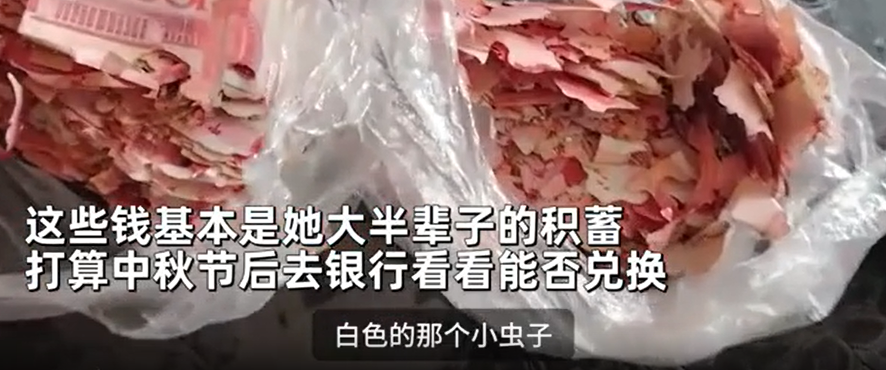 老人2万积蓄藏土里被虫蛀，家属：是老人一生积蓄(图1)