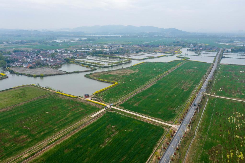 1758万亩！我国耕地“三连增”从哪里来？(图2)