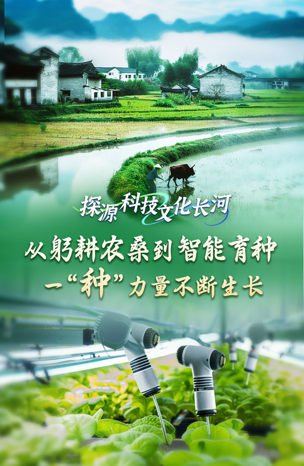 从躬耕农桑到智能育种，一“种”力量不断生长(图1)
