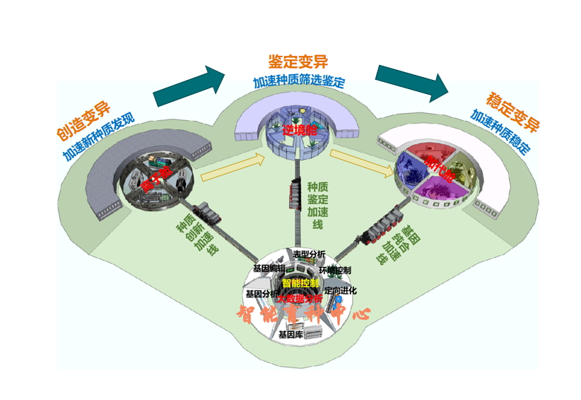 从躬耕农桑到智能育种，一“种”力量不断生长(图2)