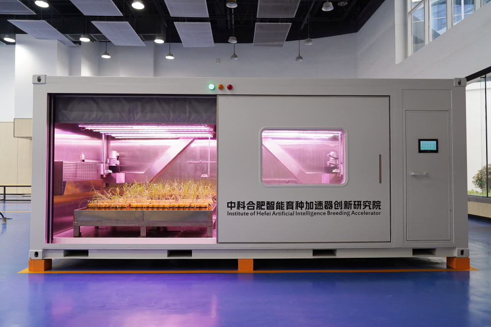 从躬耕农桑到智能育种，一“种”力量不断生长(图3)