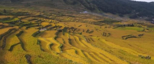 金秋大丰收，看科技如何为农民‘减负’又增收！(图1)