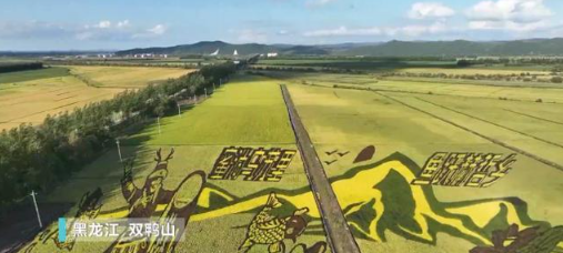 金秋大丰收，看科技如何为农民‘减负’又增收！(图2)