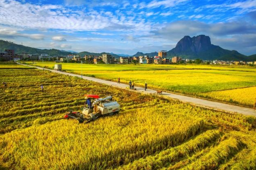 金秋大丰收，看科技如何为农民‘减负’又增收！(图3)